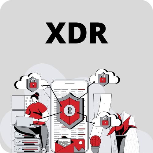 XDR information